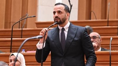 النائب محمد عبد الحفيظ  