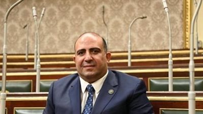 محمد سليم، وكيل لجنة الشؤون الأفريقية بمجلس النواب 