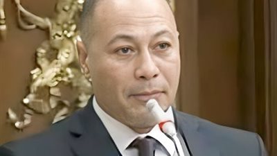  النائب علاء سليمان، عضو مجلس النواب 