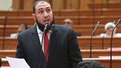 النائب محمود رشاد حبيب، عضو مجلس النواب 