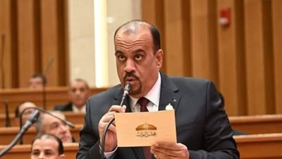 النائب أيهاب إمام  