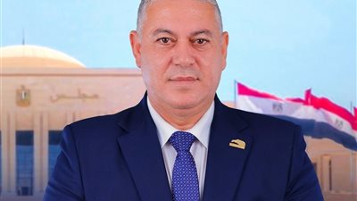 النائب توفيق ابو أحمد 