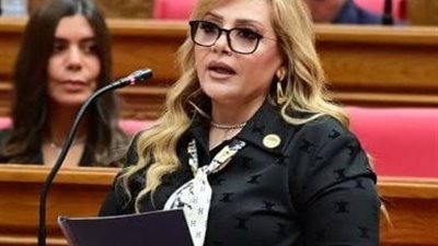 هبة غالي: الانفتاح على آسيا يعزز الاستثمارات ونقل التكنولوجيا إلى مصر