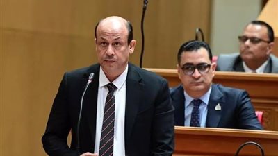 سمير البيومي: استكمال الصرف الصحي بقرى القناطر الخيرية ضمن «حياة كريمة»