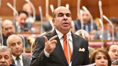 النائب ياسر الهضيبي 