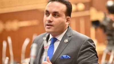 النائب عمرو السعيد فهمي عضو مجلس النواب 