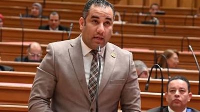 أحمد علي يتقدم بطلب إحاطة عاجل بسبب تأخر رصف وإنارة شوارع المرج