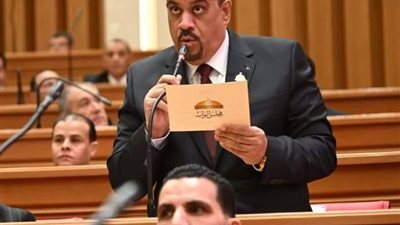  النائب إيهاب إمام،  