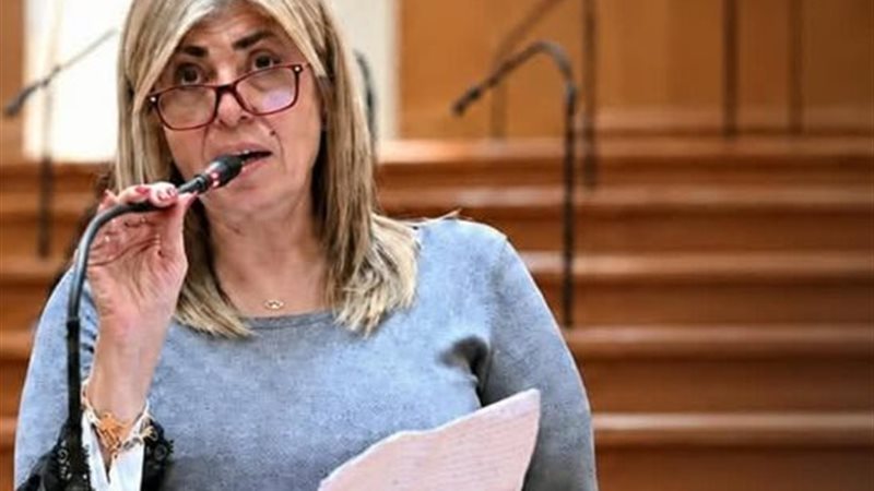 النائبة أميرة فؤاد