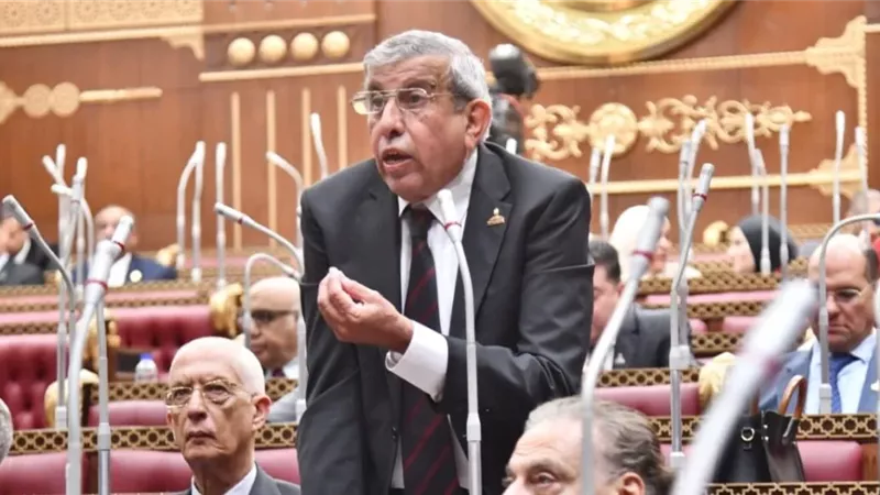 علاء عبد النبي، وكيل