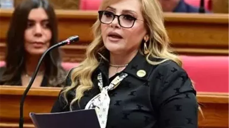النائبة هبة غالي