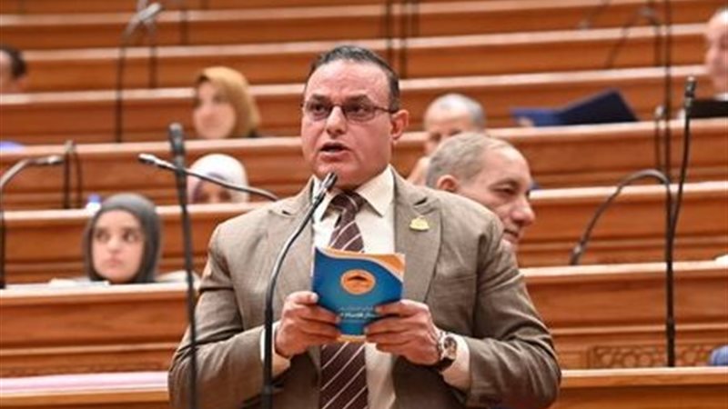 النائب مختار همام،