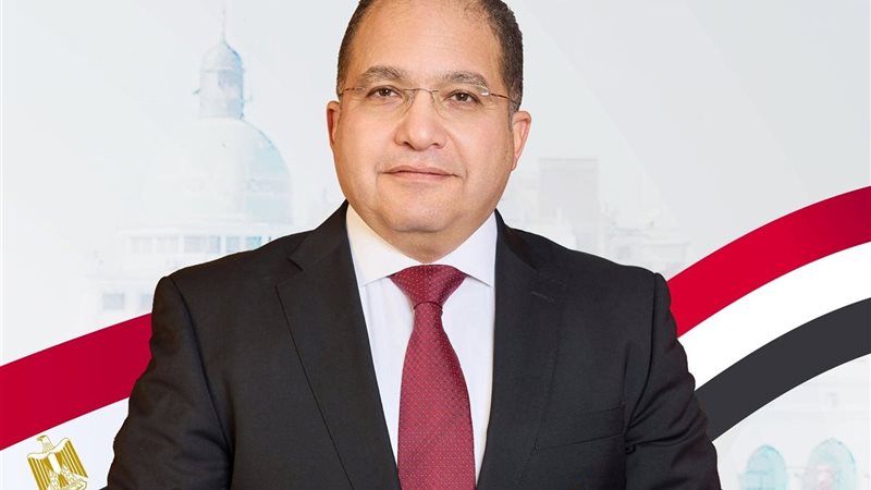 النائب عادل اللمعي