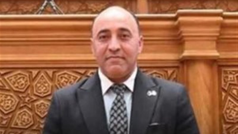النائب حسام الخشت