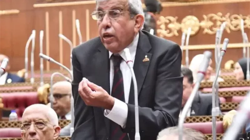 النائب علاء عبد النبي،