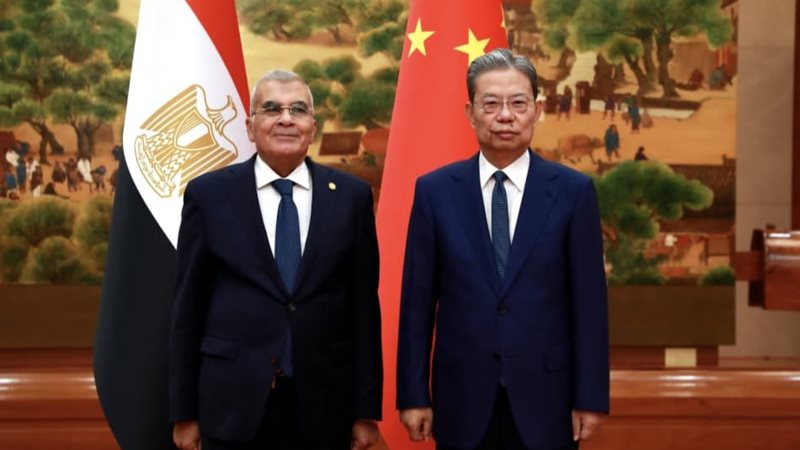 رئيس مجلس الشيوخ