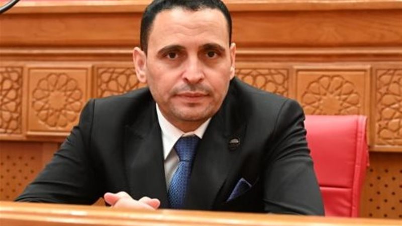نائب إسلام التلواني عضو لجنة العلاقات الخارجية بمجلس النواب