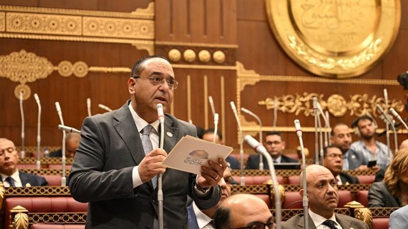  النائب أمير هلال