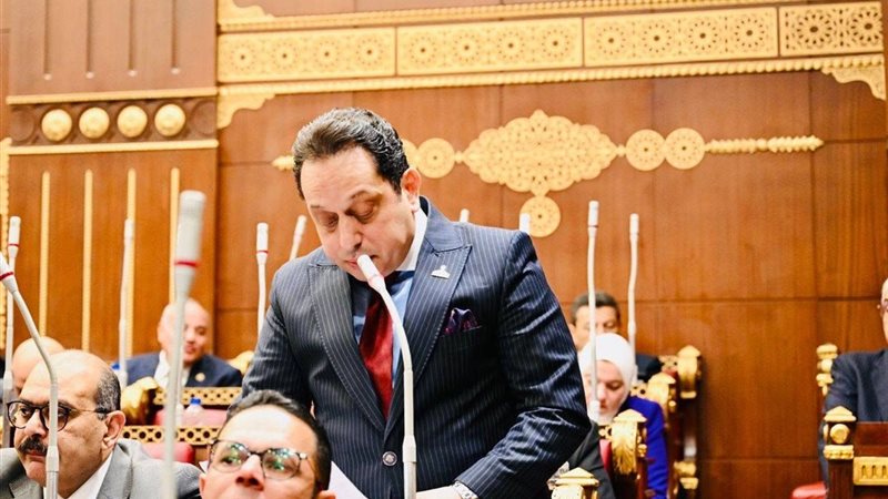 النائب محمد الجندي