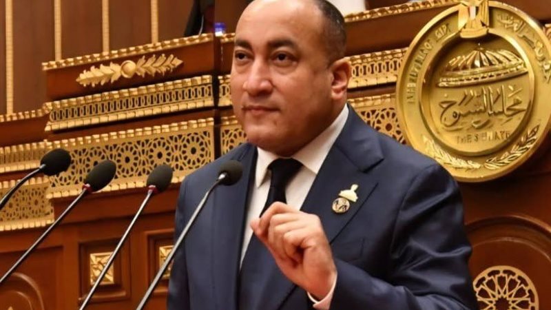 النائب عمرو رشاد