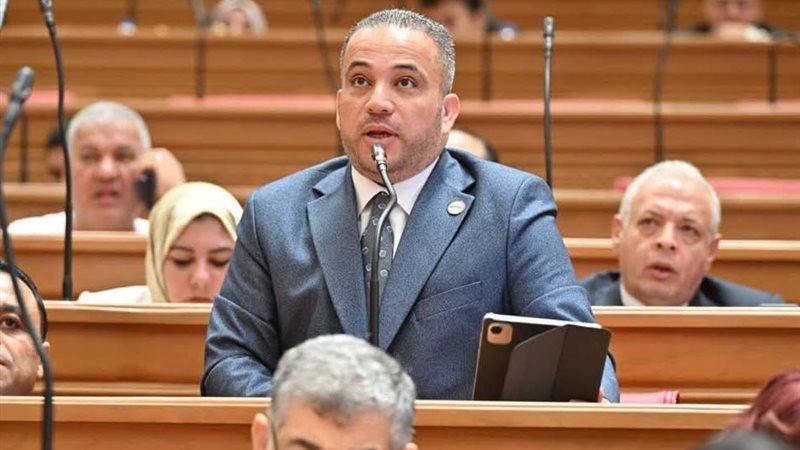 النائب هاني شحاتة،