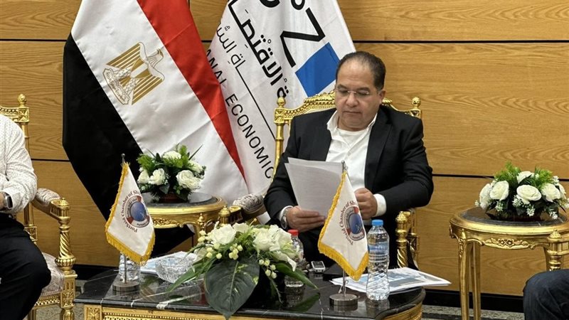 النائب عادل اللمعي