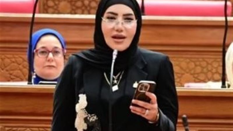 النائبة عبير عطا