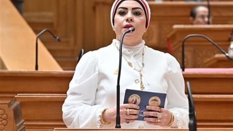 النائبة جيهان شاهين،