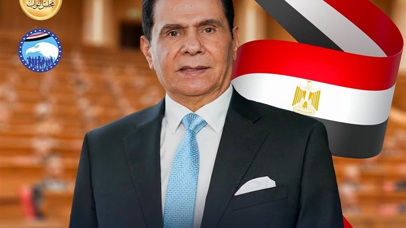 النائب الدكتور محمد