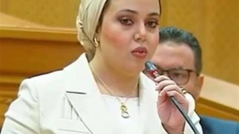 النائبة دنيا هاني،