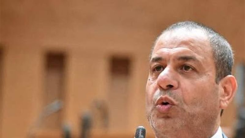 النائب فوزي مأمون