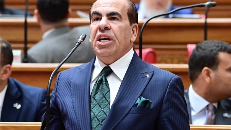 النائب ياسر الهضيبي