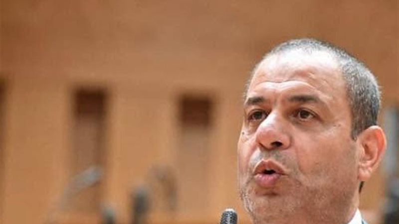 النائب فوزي الجوجري،