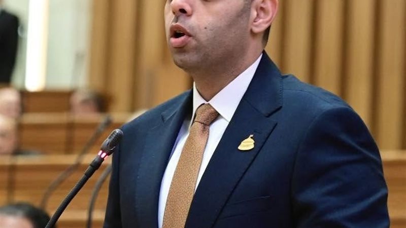 النائب حسن عمر حسنين