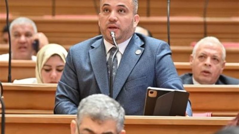  النائب هاني شحاته،