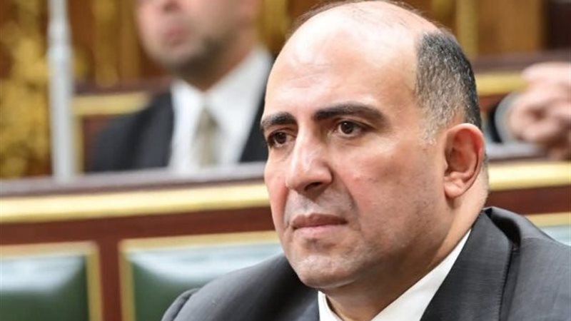 النائب محمد سليم،