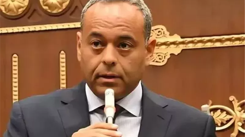 النائب سامح السادات،