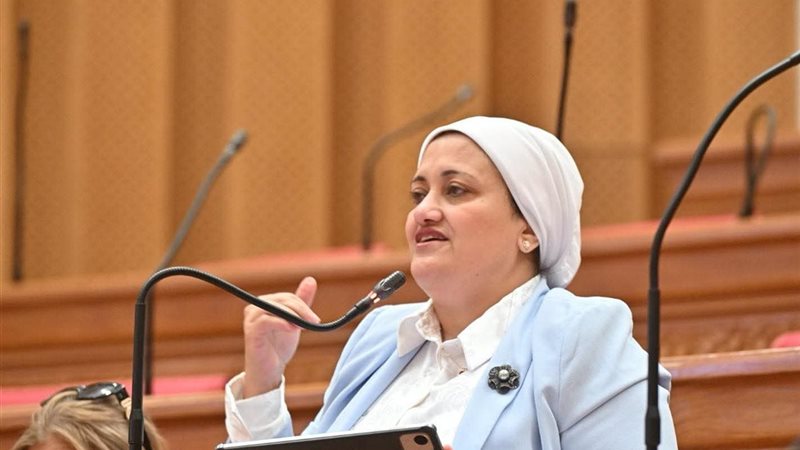 النائبة سناء السعيد