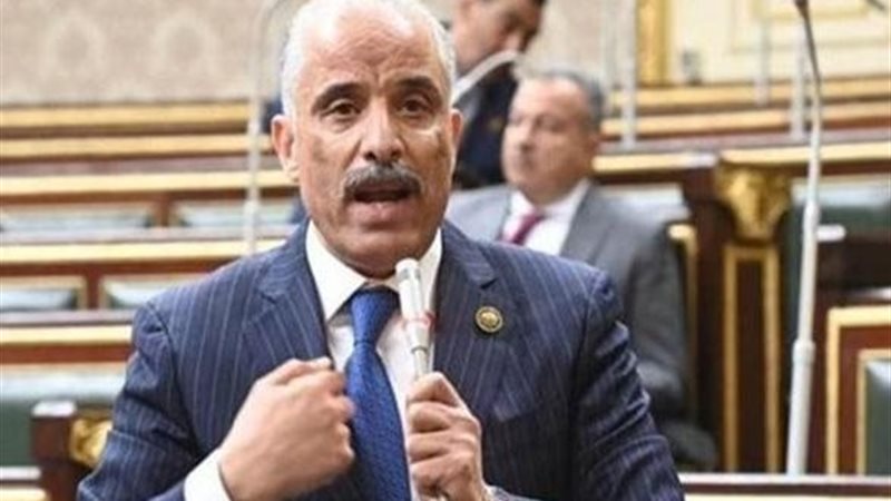 النائب عيد حماد