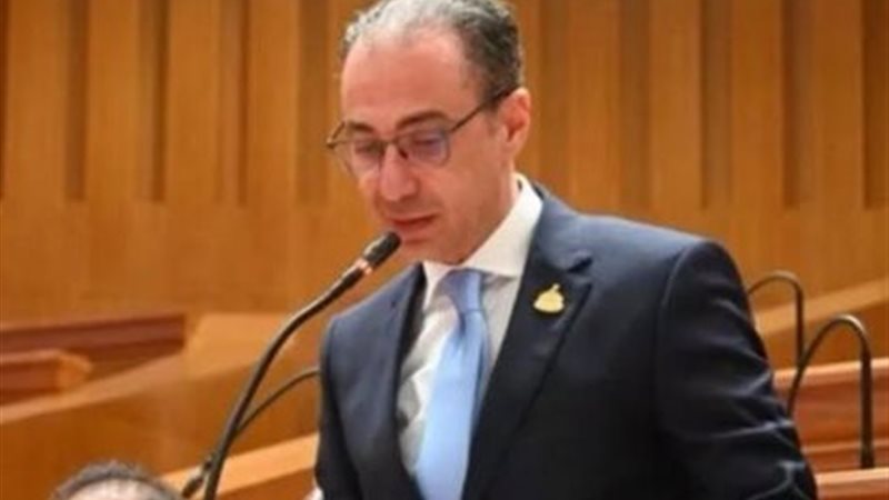 النائب شريف باشا