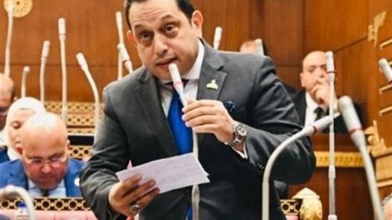 النائب محمد الجندي، عضو مجلس الشيوخ