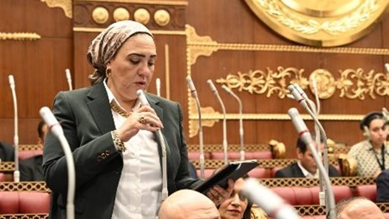 النائبة الدكتورة