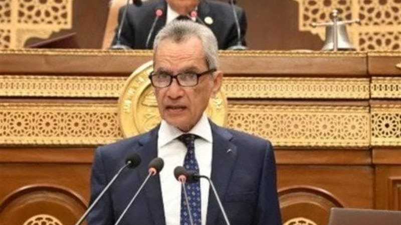 المستشار هاني حنا