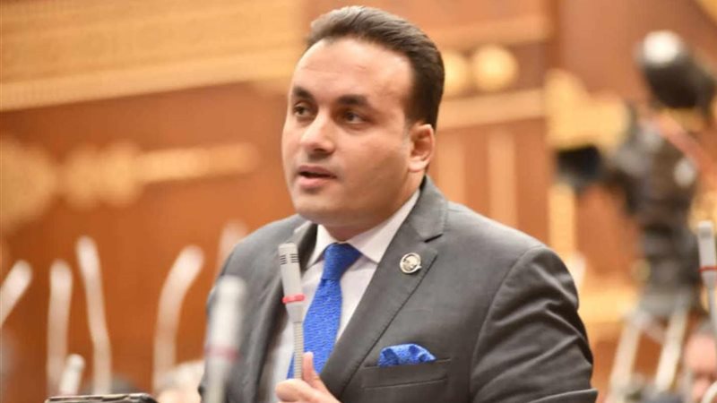 النائب عمرو فهمي،