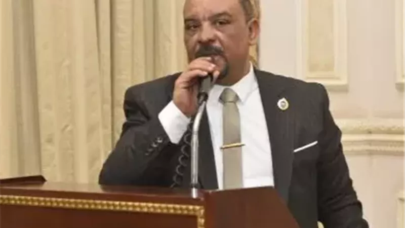 النائب أحمد حافظ