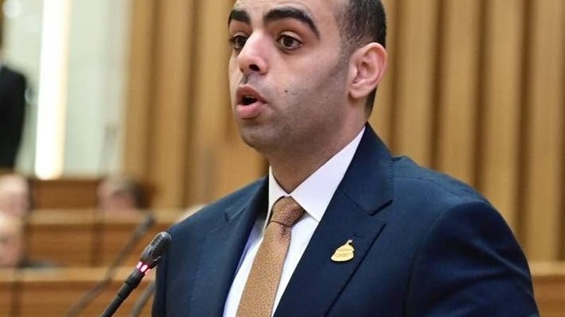 النائب حسن عمر حسنين،