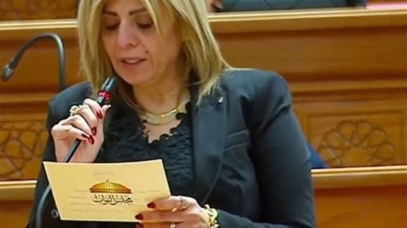 النائبة أميرة فؤاد،