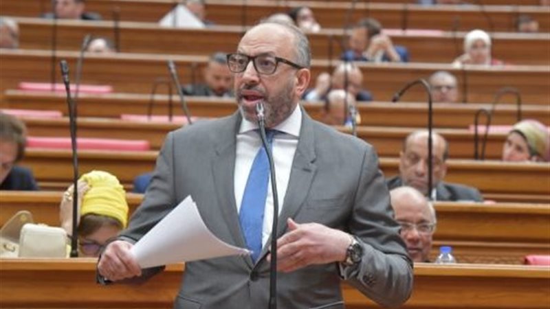 الدكتور حسام المندوه الحسيني، عضو مجلس النواب