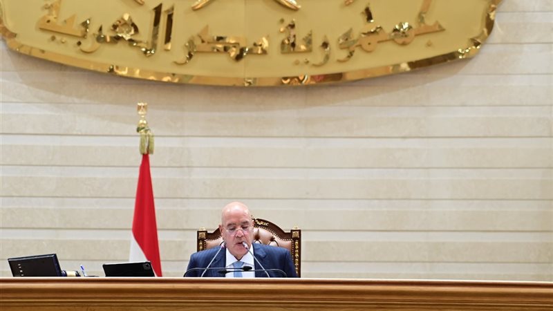 المستشار هشام بدوي،