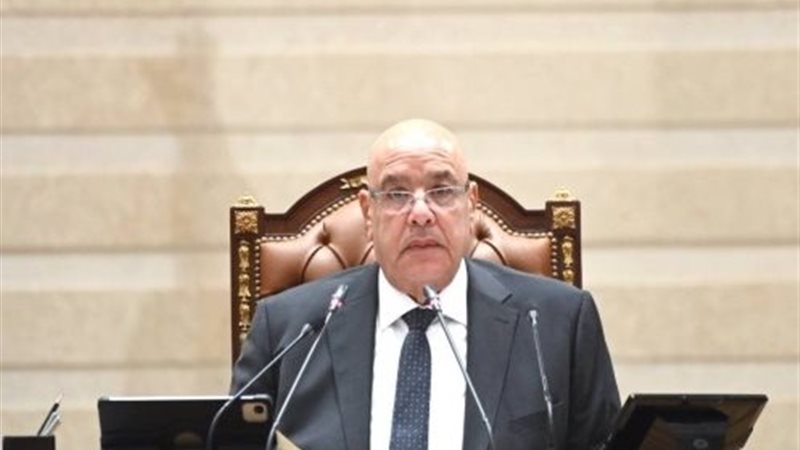 المستشار هشام بدوي